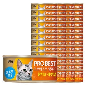 캣 참치와 게맛살 80g