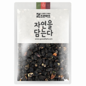  조은약초 프리미엄 가시오가피 열매