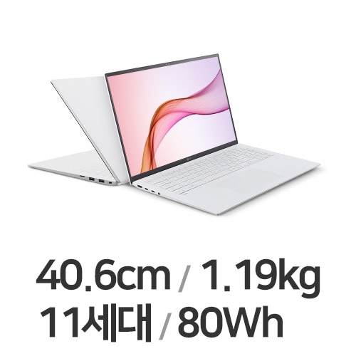 LG���� 2021 �׷�16 16ZD90P-GX30K WIN10