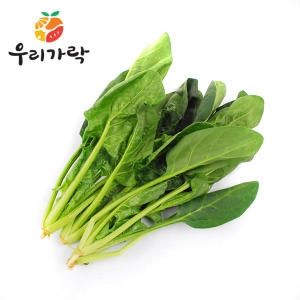 시금치 1단