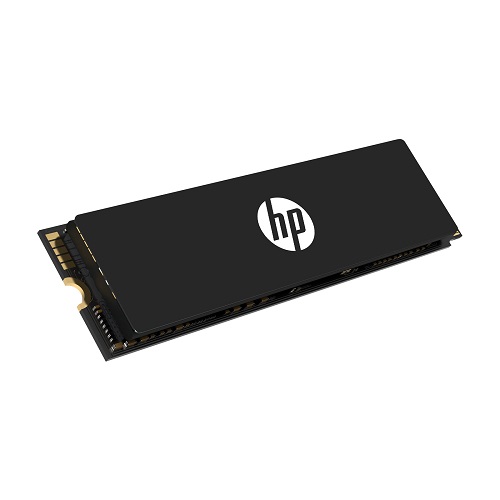 HP FX900 Pro M.2 NVMe (1TB)_이미지