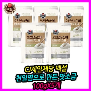 백설 맛소금 100g (5개)_이미지