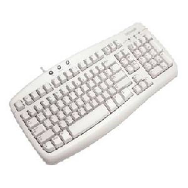 Microsoft Basic 5팩 병행