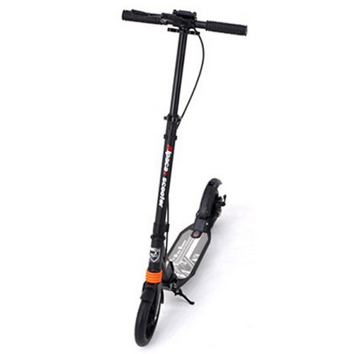 알파카 플러스 X 어반