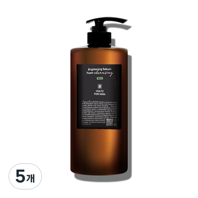 안나홀츠 홀츠포맨 브라이트닝 세범 폼클렌징 1000ml (5개)