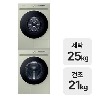 삼성전자 비스포크 AI <b>WF25CB8895BG</b> + DV21CB8890BG
