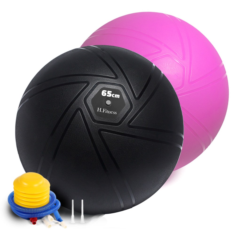 에이치닷피트니스 프리미엄 안티버스트 짐볼 HF-PGB-01 (65cm)_이미지