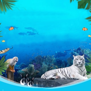 [불명] 부천 플레이아쿠아리움+동물원+파충류관 입장권 (소인)이미지입니다. 누르면 해당 게시물로 새창이동합니다.