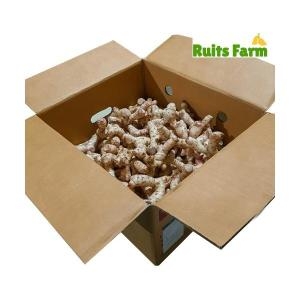 [불명] 루츠팜 태국생 갈랑갈 10kg (1개)_이미지