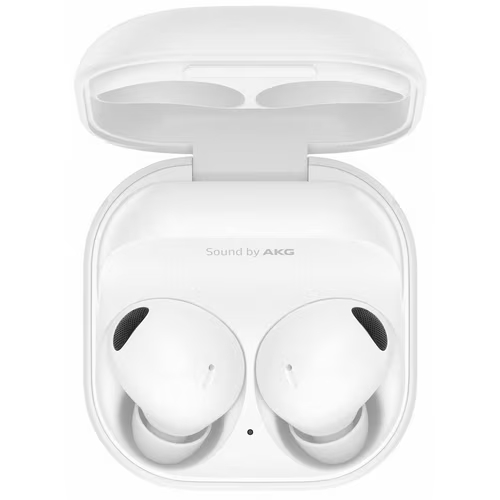 �Ｚ���� ������ ����2 ���� SM-R510