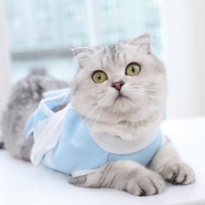 Ű�� �ݷ����� ���� �߼�ȭ�� ������ ������_23390574