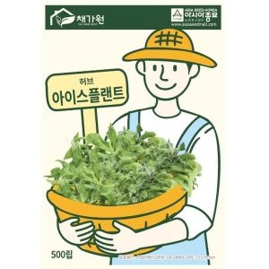 아시아종묘 허브씨앗종자 아이스플랜트 500립 얼음채소