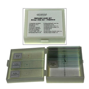 �����Ķ�Ʈ ���� /���̰������ ǥ����Ʈ/JS-46224