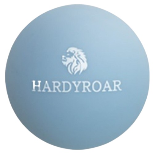 하디로어 싱글 실리콘 마사지볼