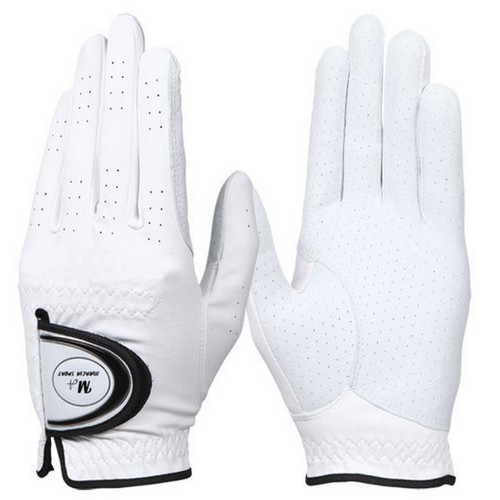 �����þ� ����Ȧ �ݾ��� �����尩