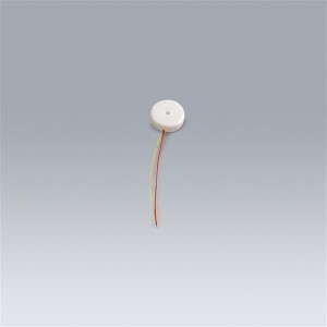 멜로디 버저 부저 과일전지용 K0967/M15697 -실험재료_이미지