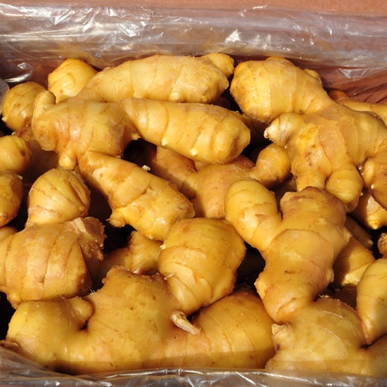 코레마을 수입 생강 5kg (1개)_이미지