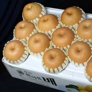 농부마음 산지직송 나주신고배 선물세트 7.5kg 13-15과_이미지