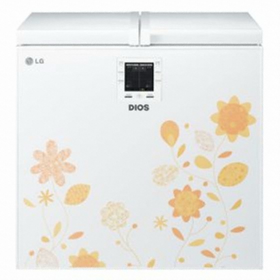 LG전자 디오스 R-K206TGJW