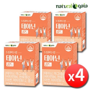 비오팜 내츄럴가이아 스트레스앤 테아닌 골드 600mg 60정 (4개)_이미지