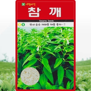 화분월드 참깨 씨앗 1000립