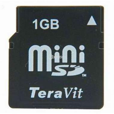 테라빛 mini SD 66x (1GB)_이미지