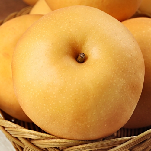 Ȳ�ݿ��� ���ҿ� ������ ����� ������ �޹� �� ������ ���ֹ� ������ 7.5kg 11-13�� ��� 1��