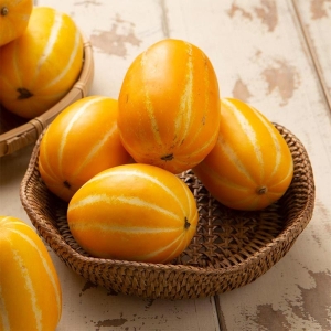 꿀맛남 성주 참외 2kg 가정용/랜덤과