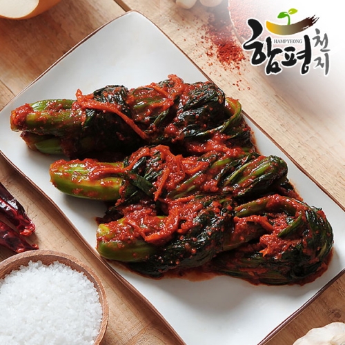 함평천지 함평 나비골 남도식 갓김치 2kg (1개)_이미지