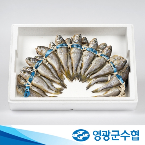 법성포 영광 장대 굴비 1.8kg 20미 +부직포가방