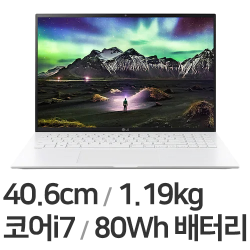LG전자 2022 그램16 16ZD95P-GX76K (SSD 256GB)