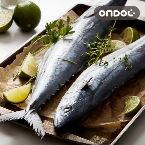 제주 손질 삼치살 중 180~300g