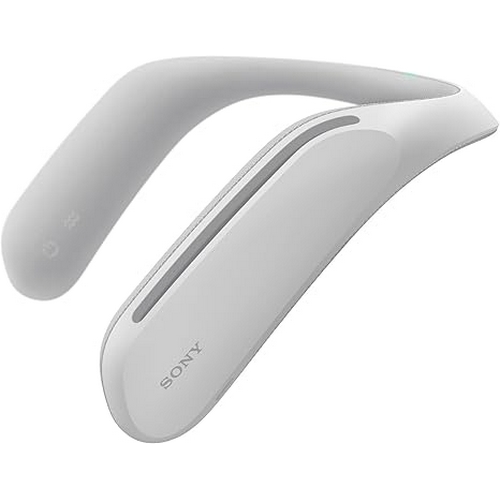 SONY SRS-WS1