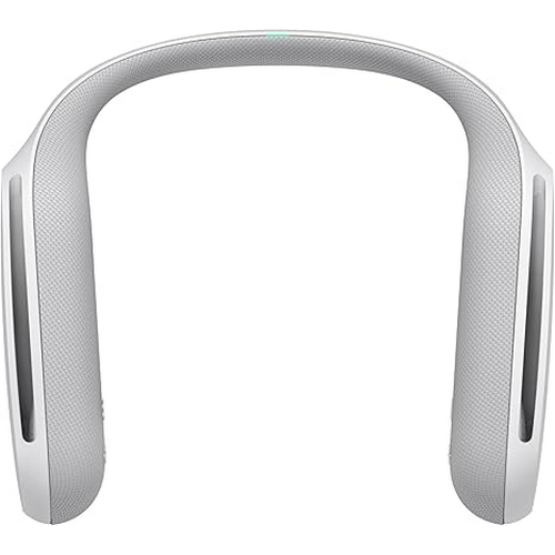 SONY SRS-WS1