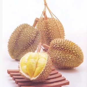 흙살림푸드 두리안 모든과일/통두리안 팩두리안 건두리안 분말