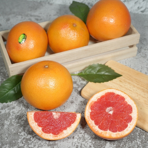 썬리지 남아공/이스라엘 자몽 대과 2kg 개당 330g 내외_이미지