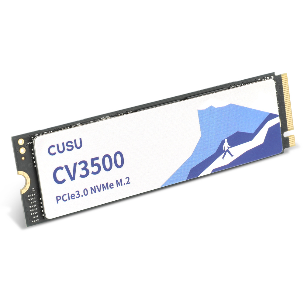 TWSC CUSU CV3500 M.2 NVMe (512GB)_이미지