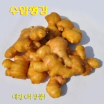  코레마을 수입 생강 1kg [1개]