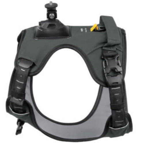 인스타360 펫 하네스마운트 L