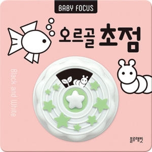 BABY FOCUS 오르골 초점