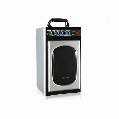 빅보스 PWA-1000