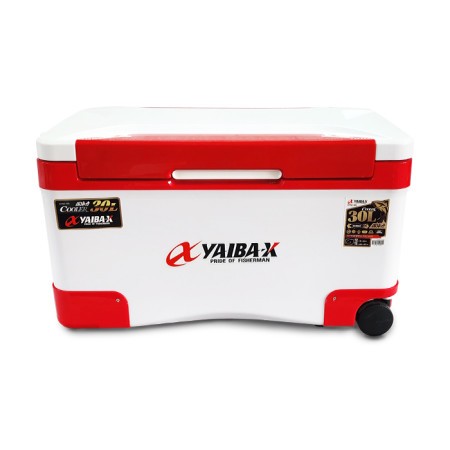 신형 아이스박스 30L