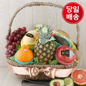  한국씨엔에스 웰빙 과일바구니 7.5kg [1개]