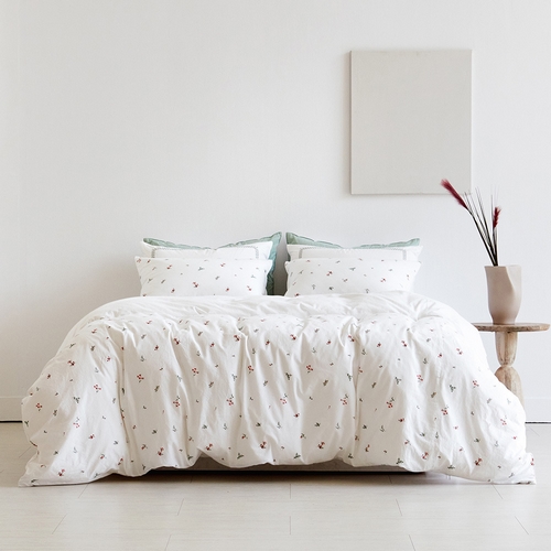 ��ǰ �� �̹���