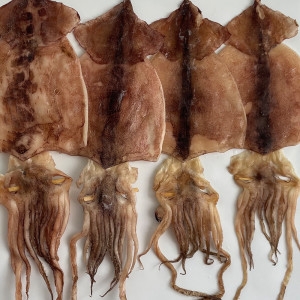 신건호멸치 동해안 햇 반건조오징어 파품오징어 파지오징어 1kg_이미지