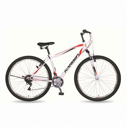 �����н� ��Ʈ ī���� 650SF