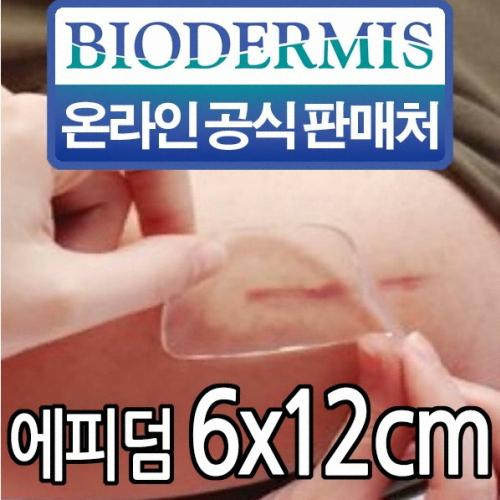 에피덤 내추럴 6x12
