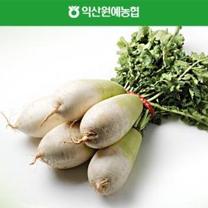농협 신선 김장 다발무 5kg 특_이미지