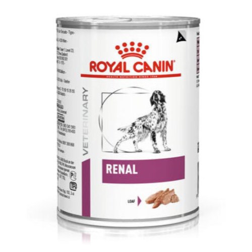 �ѱ����� �ξ�ĳ�� �� ���� ĵ 410g