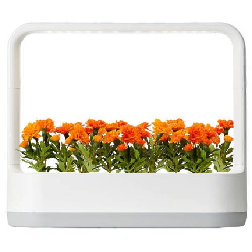 LG전자 틔운 미니 L023 (화이트)_이미지